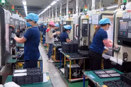 Vietnam needs national action plan to promote responsible business practices: workshop
