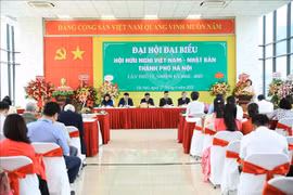 Joint opera project to step up Vietnam - Japan friendship 