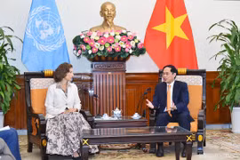 Vietnam looks to UNESCO’s support for World Heritage Committee candidacy: FM