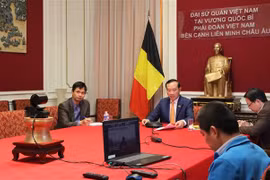 Virtual seminar spotlights Binh Duong as gateway to Southeast Asia