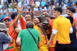 Do Son Buffalo Fighting Festival to be held from Aug. 27-Sept. 11