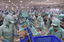 Vietnam-Australia trade up over 33% in nine months