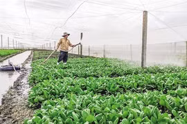 Farmers encouraged to engage in sustainable forest, farm production