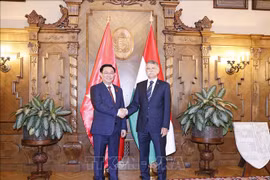 Vietnamese, Hungarian top legislators hold talks