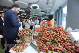 Vietnamese lychees aim to go global