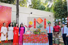 More Tet celebrations held among Vietnamese expats worldwide