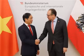 Foreign Minister Bui Thanh Son pays official visit to Austria