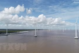 Vietnam leads ASEAN in installed power capacity in 2021