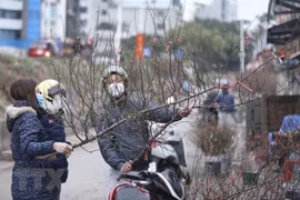  Intensified cold wave hits north, north central regions
