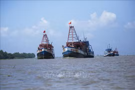 Kien Giang tackles IUU shortcomings under EC recommendations