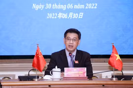 Elected bodies of HCM City, Shanghai foster partnership