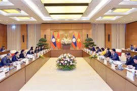 Vietnamese, Lao legislatures deepen cooperatives ties