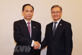 Vietnam, Laos treasure traditional comradeship, fraternity: official