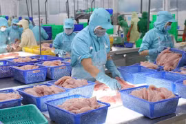 Aquatic exports surge nearly 44 percent in first four months
