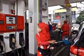 Indonesia to extend gas exports to Singapore