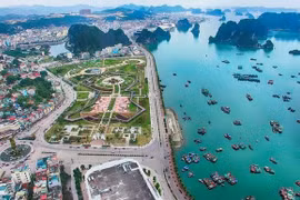 Quang Ninh aims to become fisheries hub of the North