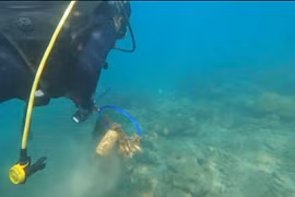 Plastic waste monitoring helps protect aquatic ecosystems in Cu Lao Cham