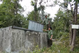 Binh Phuoc residents take action to protect forests