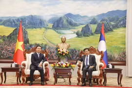 Vietnam’s senior officials visit Laos to attend celebrations of diplomatic ties anniversary