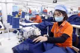 Opportunities and challenges for Vietnam, Indonesia to boost bilateral trade 