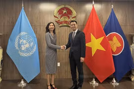 Official backs Vietnam’s priorities at UN