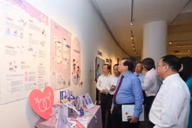 Applied fine art works on display