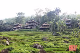 Thanh Hoa seeks to lure visitors to nature reserves, national parks