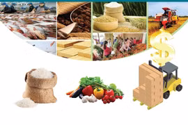 Agro-forestry-fishery exports exceed 53 billion USD in 2023
