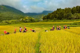 Binh Lieu landscapes and cultural values win tourists’ hearts