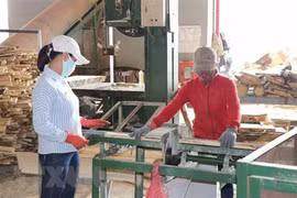 Measures needed to support COVID-19-hit enterprises