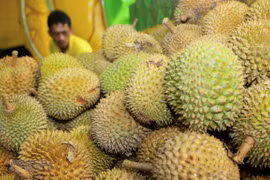 Vietnamese durian given push in Australia