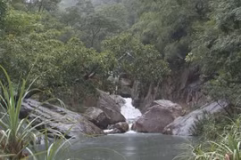 Ninh Thuan receives UNESCO certificate for Nui Chua biosphere reserve