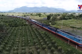 Traveling by train - The choice of young people