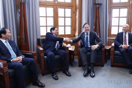 Vietnam - the Netherlands Comprehensive Partnership grows stronger