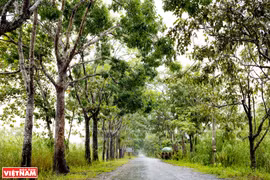 Discovery of U Minh Thuong National Park 