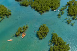 Mangrove forest ecotourism in Nha Trang