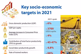 Key socio-economic targets in 2021