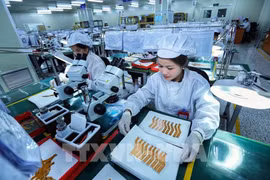 Newly-established enterprises at record high in 2023