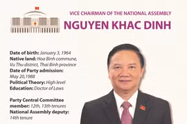 Nguyen Khac Dinh elected as Vice Chairman of National Assembly