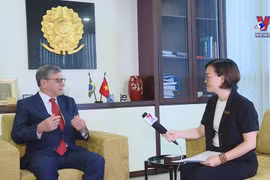 Vietnam, Brazil all-round ties on right track: Ambassador
