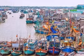 Fishing boats anchor in the Ca Mau fishery port in the southernmost province of Ca Mau (Photo: VNA)
