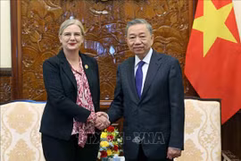 President To Lam (right) and Swedish Ambassador to Vietnam Ann Mawe. (Photo: VNA)
