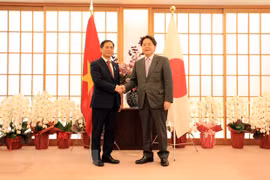 Vietnam always considers Japan leading strategic partner: FM