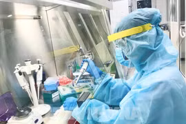 Eight COVID-19 cases recorded on February 25
