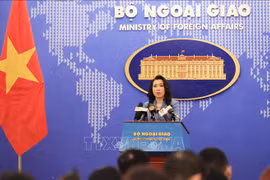 Vietnam takes ensuring safety for foreigners seriously: Spokesperson