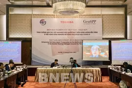 Forum talks Vietnam-Japan ties in sustainable energy development in GMS