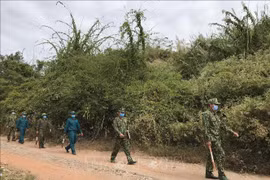 Vietnam intensifying border surveillance to prevent illegal entry, exit: Spokesperson