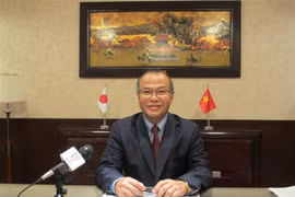 Vietnam-Japan ties thriving despite pandemic: Ambassador