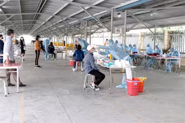 Factories in Hai Duong to conduct routine COVID-19 testing for employees 
