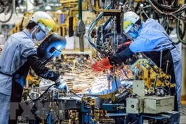 European firms optimistic about Vietnam's business environment after social distancing